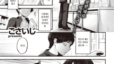 재회 엮음 [쇼츠야동,섹트야동,국산야동,혼딸야동]