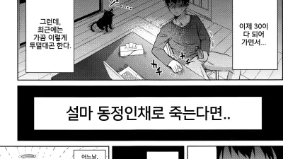 인간이 된 고양이 [쇼츠야동,섹트야동,국산야동,혼딸야동]